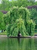 https://naurok-test2.nyc3.digitaloceanspaces.com/uploads/test/341834/1658858/120771_1663950968.jpg